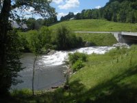 DSCN3342.jpg