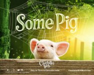 Some Pig.jpg