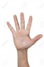 Five.jpg