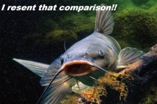 November-Catfish-Keeper.jpg