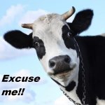 Excuse Me.jpg
