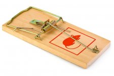 258_istock_mousetrap-e1305753476352.jpg