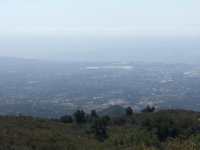 IMG_0442.jpg