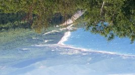 20170814_101311.jpg