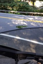 20170816_093127.jpg