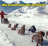 german iditarod.jpg