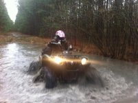 IMG_0781.jpg