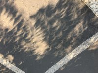 IMG_0472.jpg