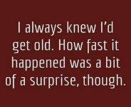I Always Knew.jpg