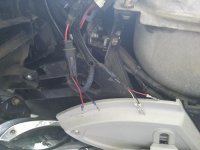Can Am Wires.jpg