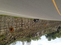 IMG_2517.jpg