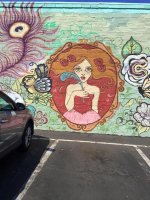 IMG_1117.jpg IMG_1117.jpg