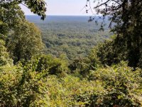 IMG_20170909_112806.jpg