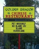 Is Your Pet Missing.jpg