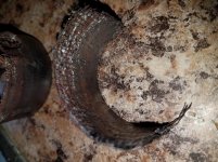 20170927_105840.jpg