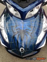 Spidy on Web Blue frunk close up.jpg