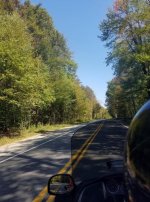 Goldwing Tint.jpg