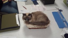 2013-03-29_15-35-24_817.jpg