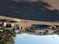 20170928_081202.jpg
