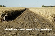 partially-harvested-corn-field.jpg