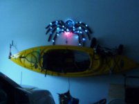 Dark Spyder guarding.jpg