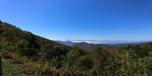 20171012_115013.jpg