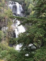 IMG_8474.jpg