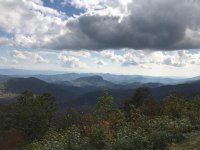 IMG_8497.jpg
