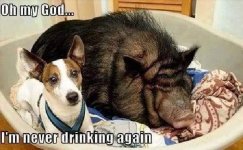 giving up drinking.jpg