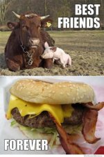best-friends-forever.jpg