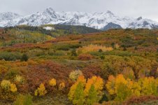 Colorado colors 2016 -2.jpg