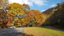 20171104_165255.jpg
