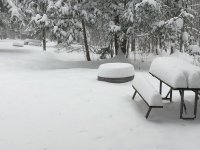 snow.jpg