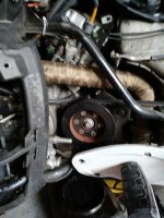 IMG_20171110_135151.jpg