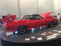 IMG_2785.jpg
