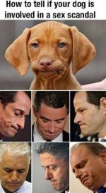 Sex Scandal.jpg