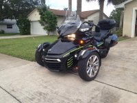 MY_SPDER_11-12-17.jpg