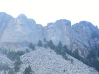 IMG_5341.jpg