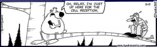 Tundra Cell reception.jpg