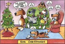 dog water tree.jpg