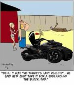 spyderturkey.jpg