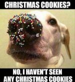 e64f304875fd639a505a58b9b2221c53--funniest-animals-funny-animals.thumb.jpg.3d56e41fd5ca769adbb80.jpg