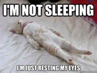 Im-not-sleeping-im-just-resting-my-eyes-Sleeping-Meme.jpg