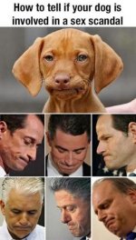 Sex Scandal.jpg
