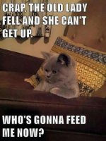 Feed Me.jpg