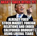 9463b766595cd30b5108df32230f560a--trump-funny-trump-hair.jpg