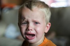 iStock_000001737879Small.jpg