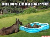 Blow Up Pools.jpg