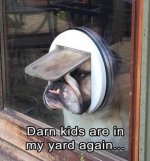 In my yard.jpg