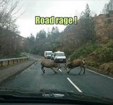 road rage.jpg